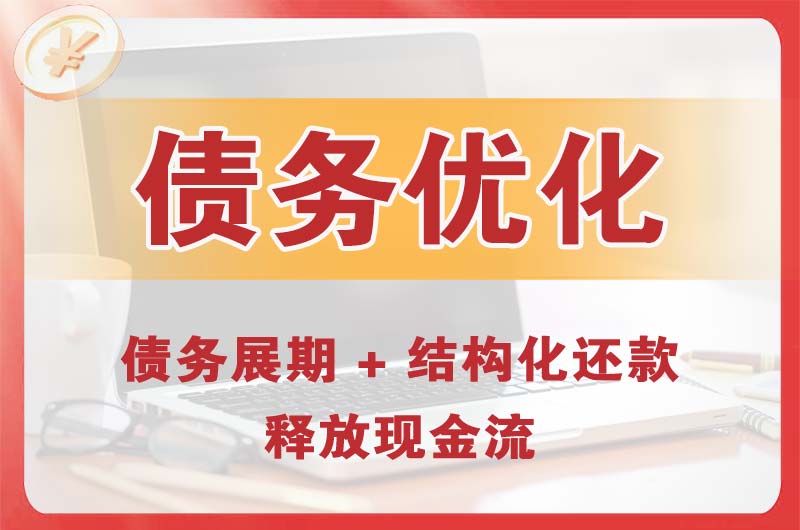 大埔债务优化