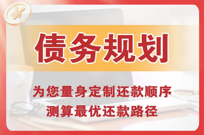 大埔债务规划